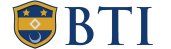 cropped-bti-logo-horizontal-navy-gold.png